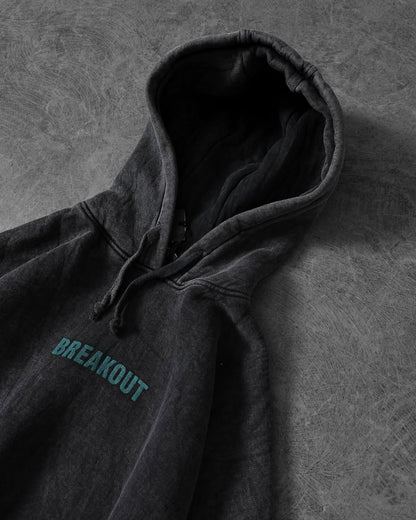 Serpent Breakout Washed Hoodie